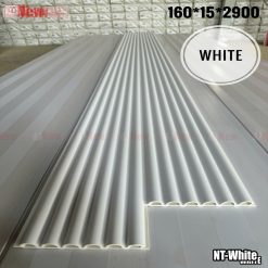 Thanh Lam Sóng -Mã NT-White