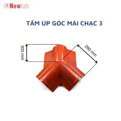 Tấm Úp Góc Mái Chạc 3
