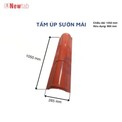 Tấm Úp Sườn Mái