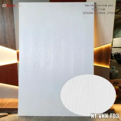 Ván Nhựa Nội Thất Phủ Film 2 Mặt 122x244 8-12mm-F03