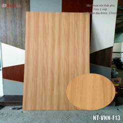 Ván Nhựa Nội Thất Phủ Film 2 Mặt 122x244 8-12mm-F13